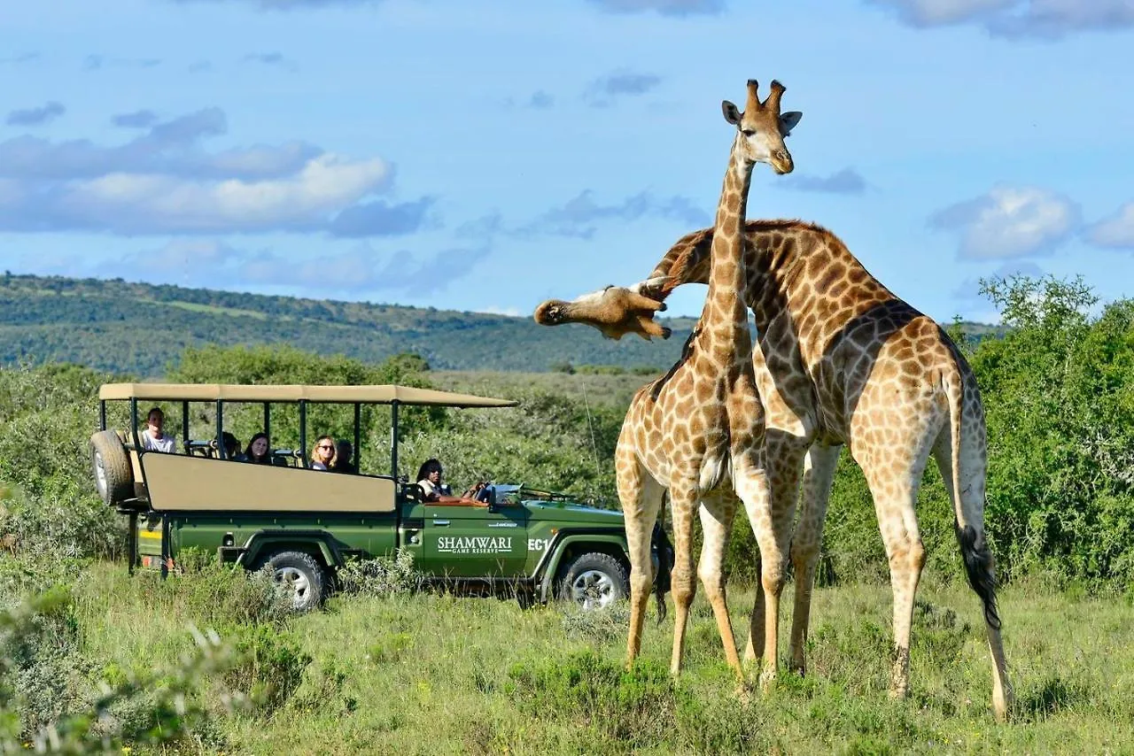 Lodge Shamwari Eagles Crag Villa Port Elizabeth South Africa