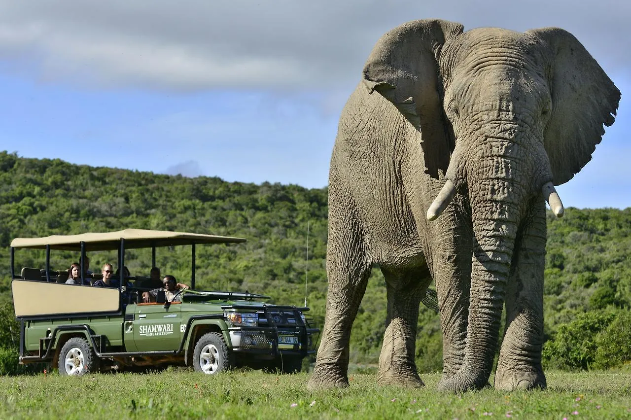 Lodge Shamwari Eagles Crag Villa Port Elizabeth